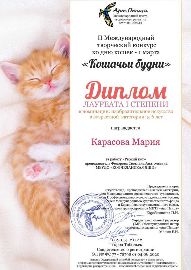 Карасова Мария (ФСА) Кошачьи будни.jpg